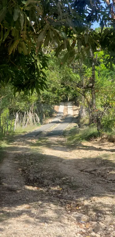 Pavimentanto acceso a vivienda